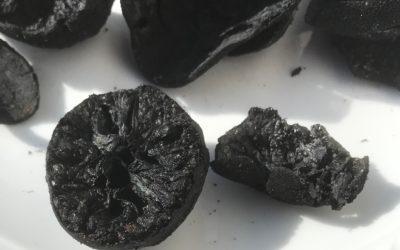 Pyro-Karbo-Büchse (Char-Art)